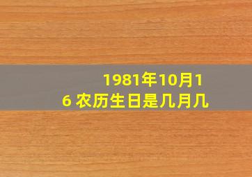 1981年10月16 农历生日是几月几