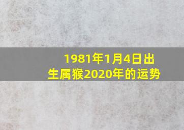 1981年1月4日出生属猴2020年的运势(