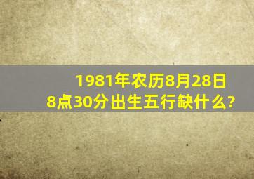 1981年农历8月28日8点30分出生,五行缺什么?