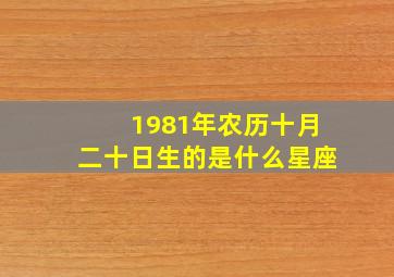 1981年农历十月二十日生的是什么星座