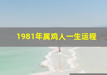 1981年属鸡人一生运程