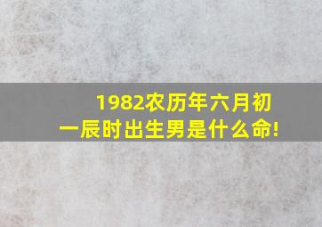 1982农历年六月初一辰时出生男是什么命!