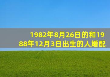 1982年8月26日的和1988年12月3日出生的人婚配