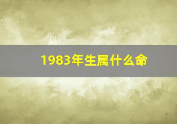 1983年生属什么命