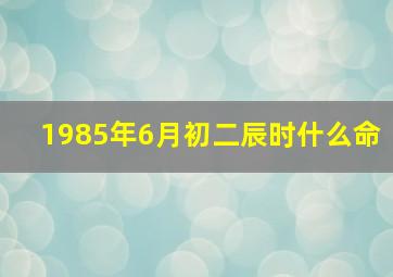 1985年6月初二辰时什么命(