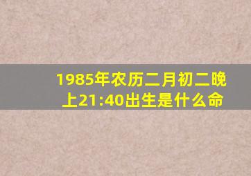 1985年农历二月初二晚上21:40出生是什么命