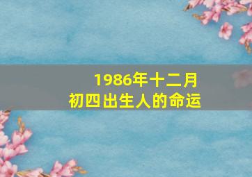 1986年十二月初四出生人的命运