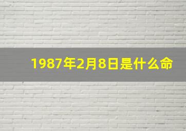 1987年2月8日是什么命