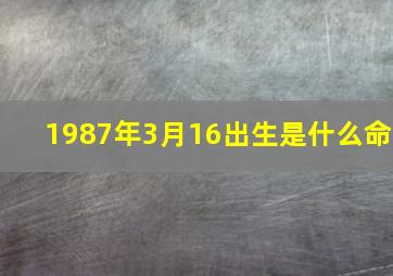 1987年3月16出生是什么命