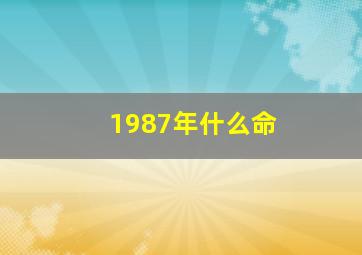 1987年什么命