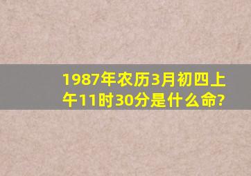 1987年农历3月初四上午11时30分是什么命?