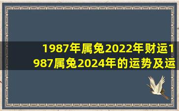1987年属兔2022年财运,1987属兔2024年的运势及运程