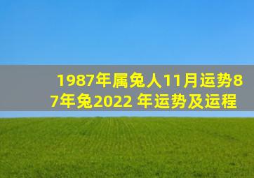 1987年属兔人11月运势,87年兔2022 年运势及运程