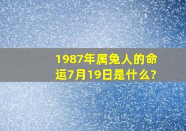 1987年属兔人的命运7月19日是什么?