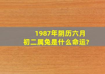 1987年阴历六月初二属兔是什么命运?