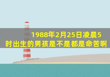 1988年2月25日凌晨5时出生的男孩是不是都是命苦啊