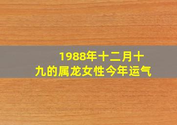 1988年十二月十九的属龙女性今年运气