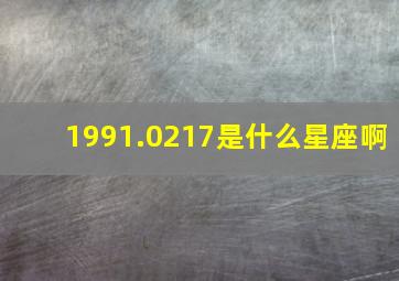 1991.0217是什么星座啊