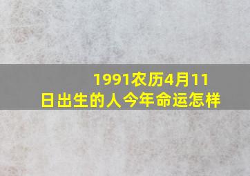 1991农历4月11日出生的人今年命运怎样