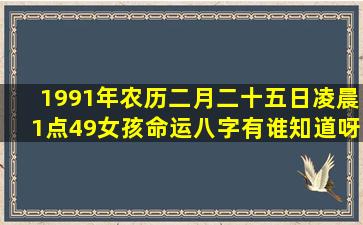 1991年农历二月二十五日凌晨1点49女孩,命运八字有谁知道呀