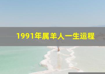 1991年属羊人一生运程