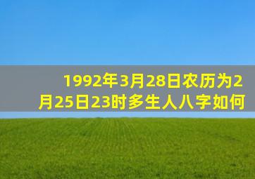 1992年3月28日(农历为2月25日)23时多生人,八字如何