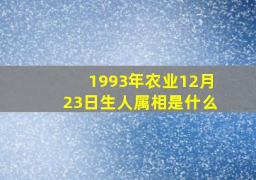 1993年农业12月23日生人属相是什么