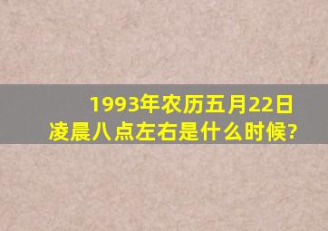 1993年农历五月22日凌晨八点左右是什么时候?