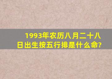 1993年农历八月二十八日出生,按五行排是什么命?