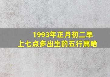 1993年正月初二早上七点多出生的五行属啥(