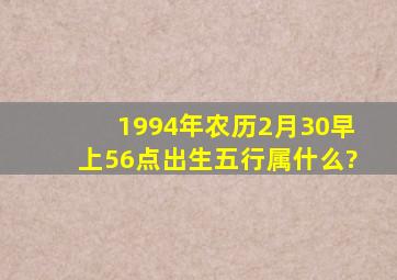 1994年农历2月30早上56点出生五行属什么?