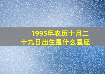 1995年农历十月二十九日出生是什么星座