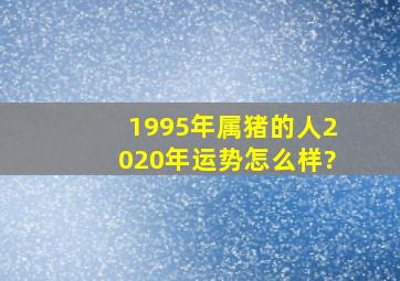 1995年属猪的人2020年运势怎么样?