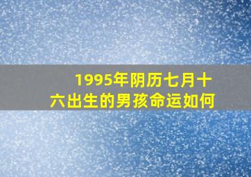 1995年阴历七月十六出生的男孩命运如何(