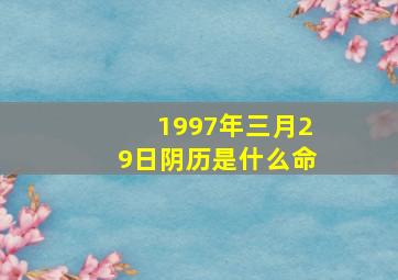 1997年三月29日阴历是什么命