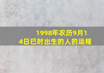 1998年农历9月14日巳时出生的人的运程