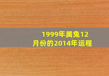 1999年属兔12月份的2014年运程