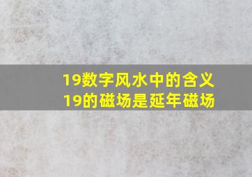 19数字风水中的含义 19的磁场是延年磁场