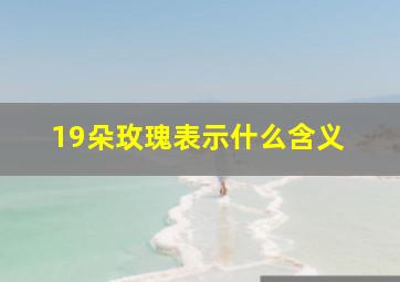 19朵玫瑰表示什么含义 