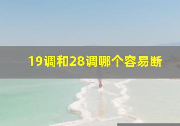 19调和28调哪个容易断