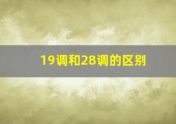 19调和28调的区别