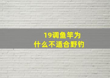 19调鱼竿为什么不适合野钓