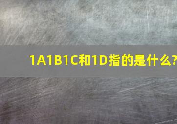 1A、1B、1C和1D指的是什么?