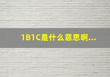 1B1C是什么意思啊...