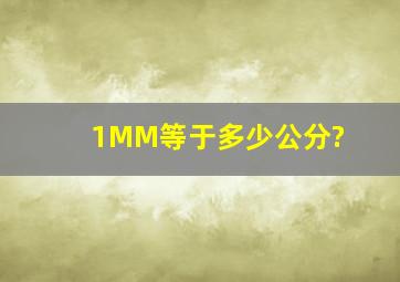 1MM等于多少公分?