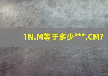 1N.M等于多少***.CM?