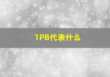 1PB代表什么