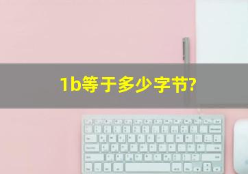 1b等于多少字节?