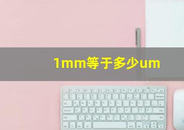 1mm等于多少um(