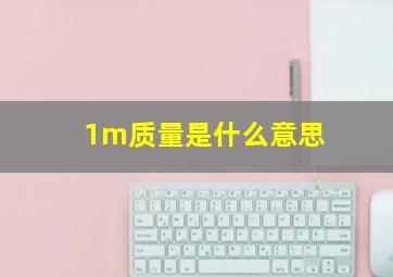 1m质量是什么意思